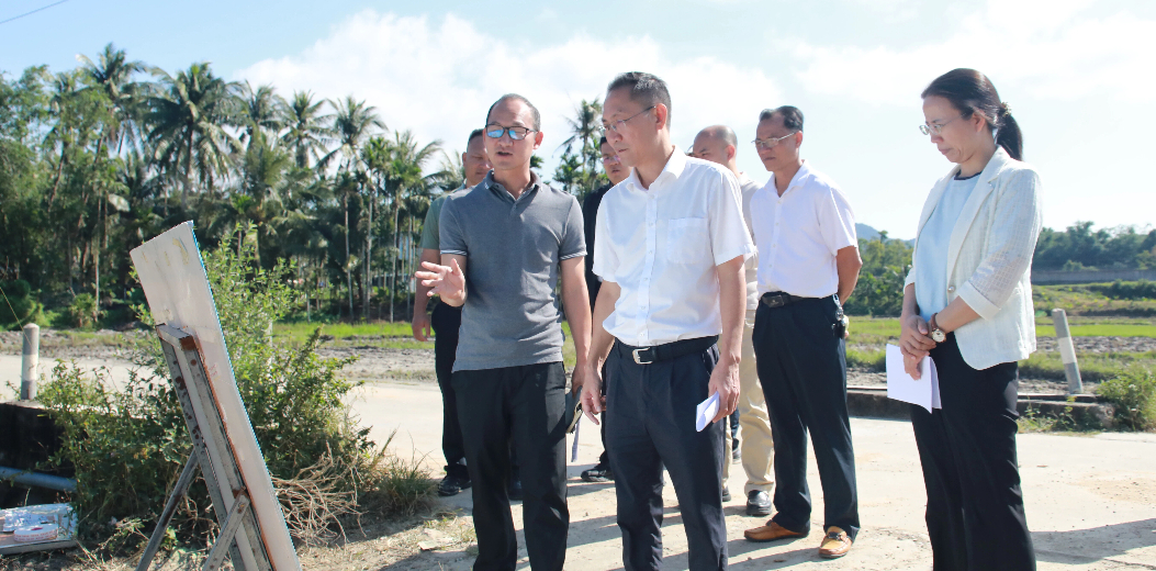孙德震主持召开和美乡村建设规划汇报会 调研我区和美乡村建设工作