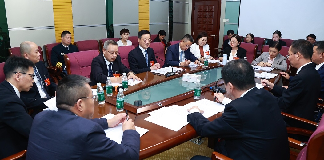 王祺扬参加吉阳代表团审议