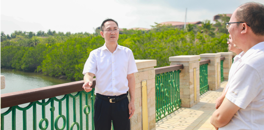 孙德震调研督导清明节前森林防火及巡河巡林工作