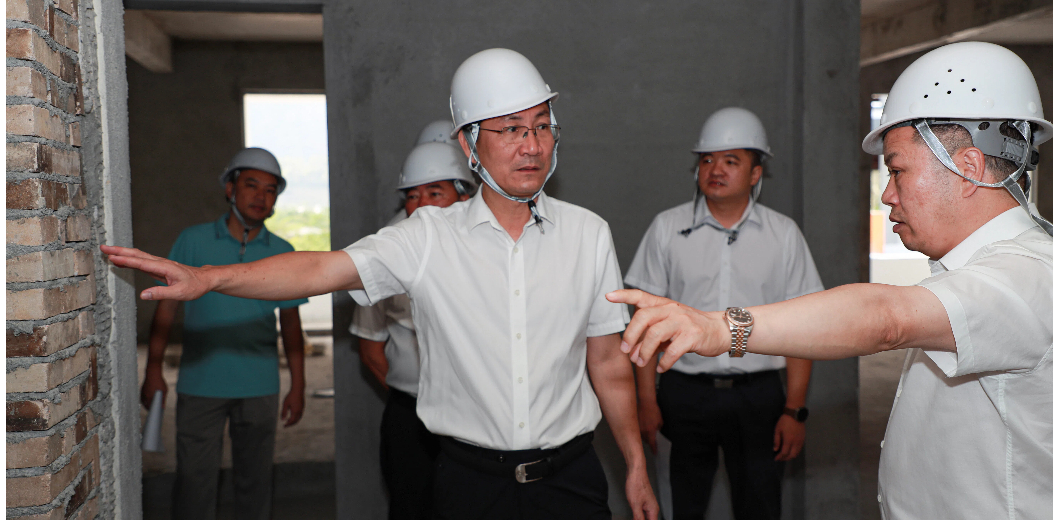 孙德震深入调研红花村新天地产业园项目