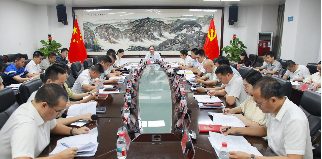 吉阳区召开区委优化营商环境领导小组2026年第一次会议