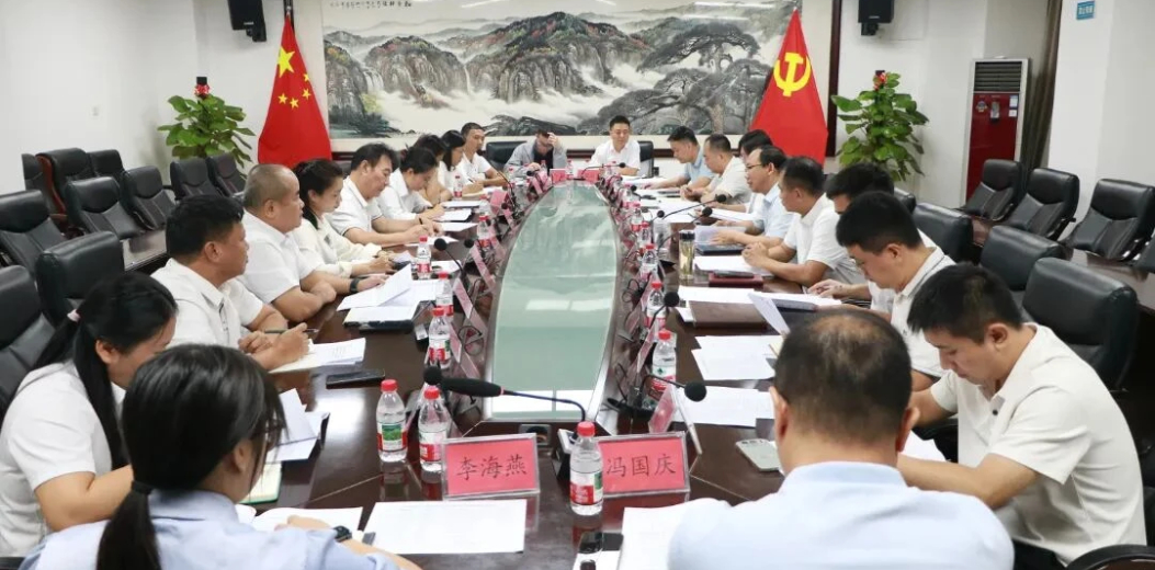吉阳区召开党代会报告征求意见座谈会